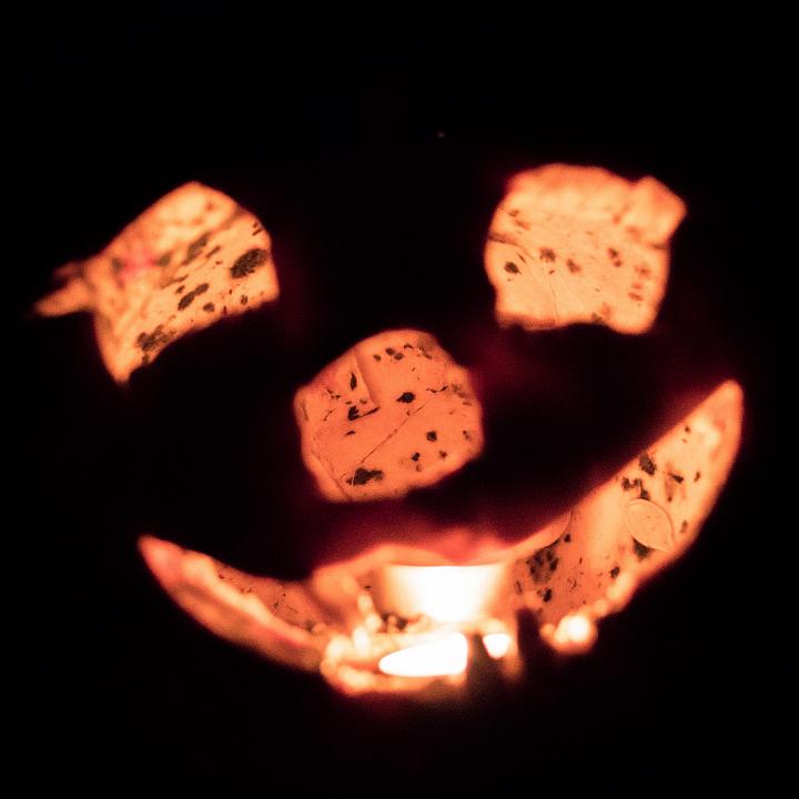 Bild: 20231111-184046.jpg